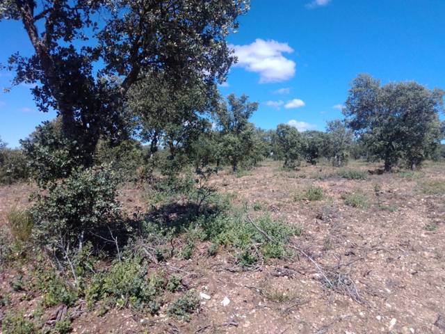 Terreno en Venta en Ledesma