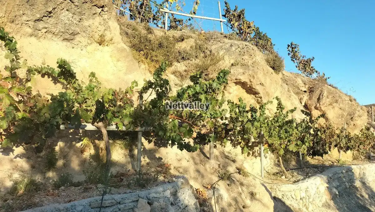 Terreni e lotti in vendita a FUENTE DEL OLIVO, imagen 6