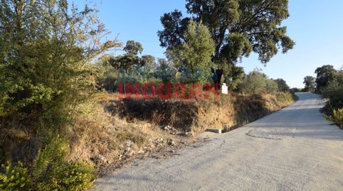 Finca rústica en el paraje Las Viñas en Millanes Cáceres