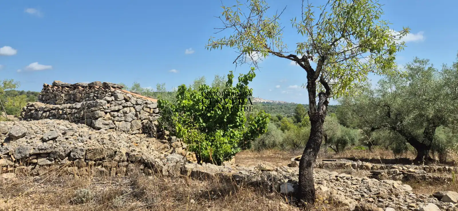 Terreno rustico in vendita a Cervera del Maestre, imagen 8