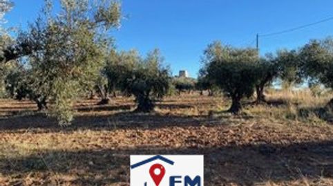 SE VENDE FINCA RUSTICA EN SONSECA