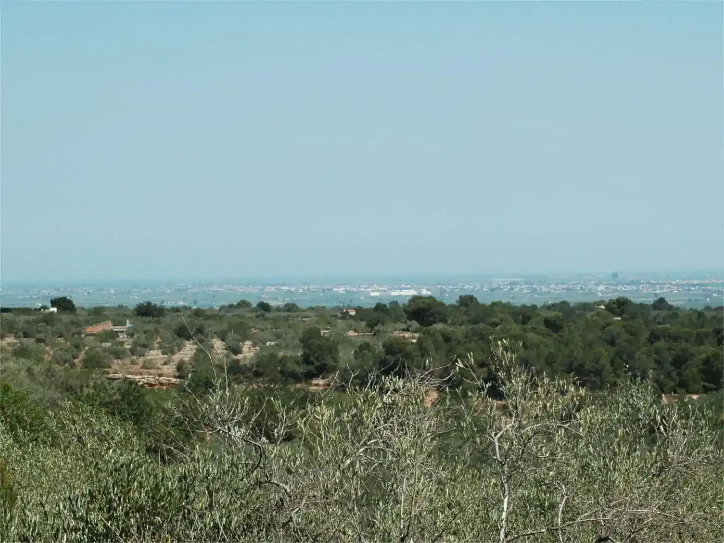 Finca rústica en venda en Camarles