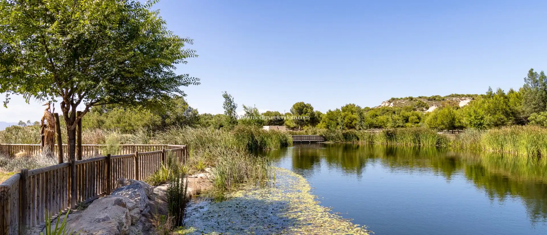 Vista exterior de Casa o xalet en venda en Rojales amb Aire condicionat, Calefacció i Jardí privat