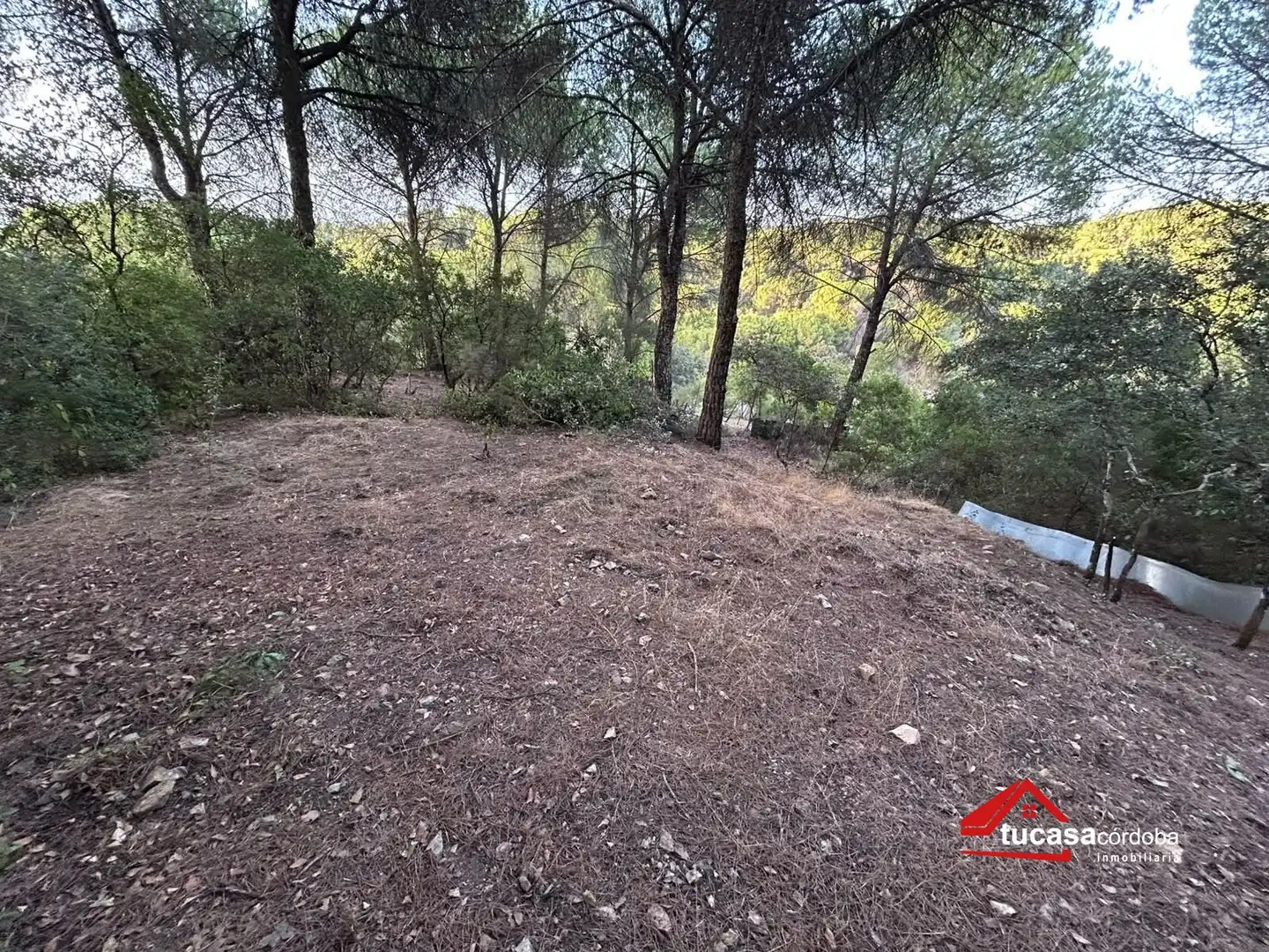 Casa rustica in vendita a Periurbano Oeste - Sierra, imagen 15