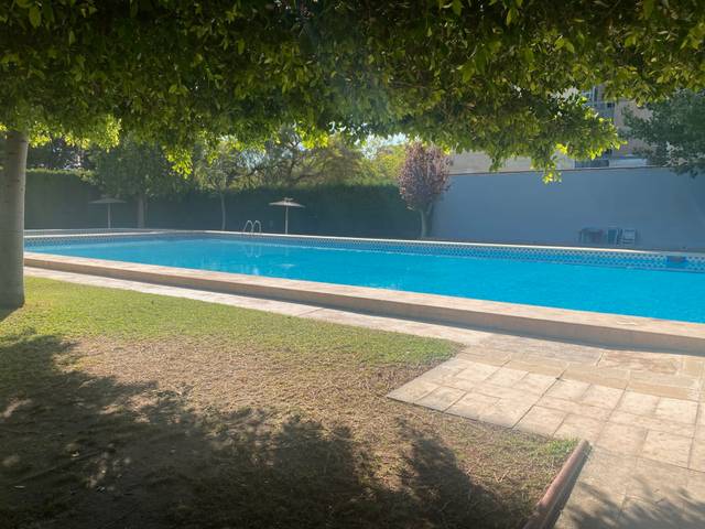 Piso en Alquiler en Calle Penáguila en Divina Pastora