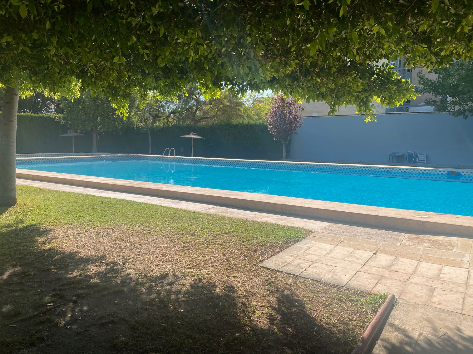 Swimming pool of Flat to rent in Alicante / Alacant  with Private garden, Terrace and Furnished
