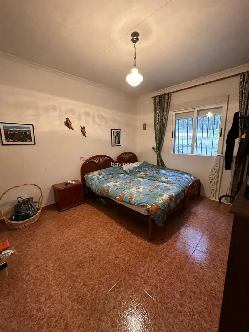 Chalet con jardín en venta en Aledo, imagen 9