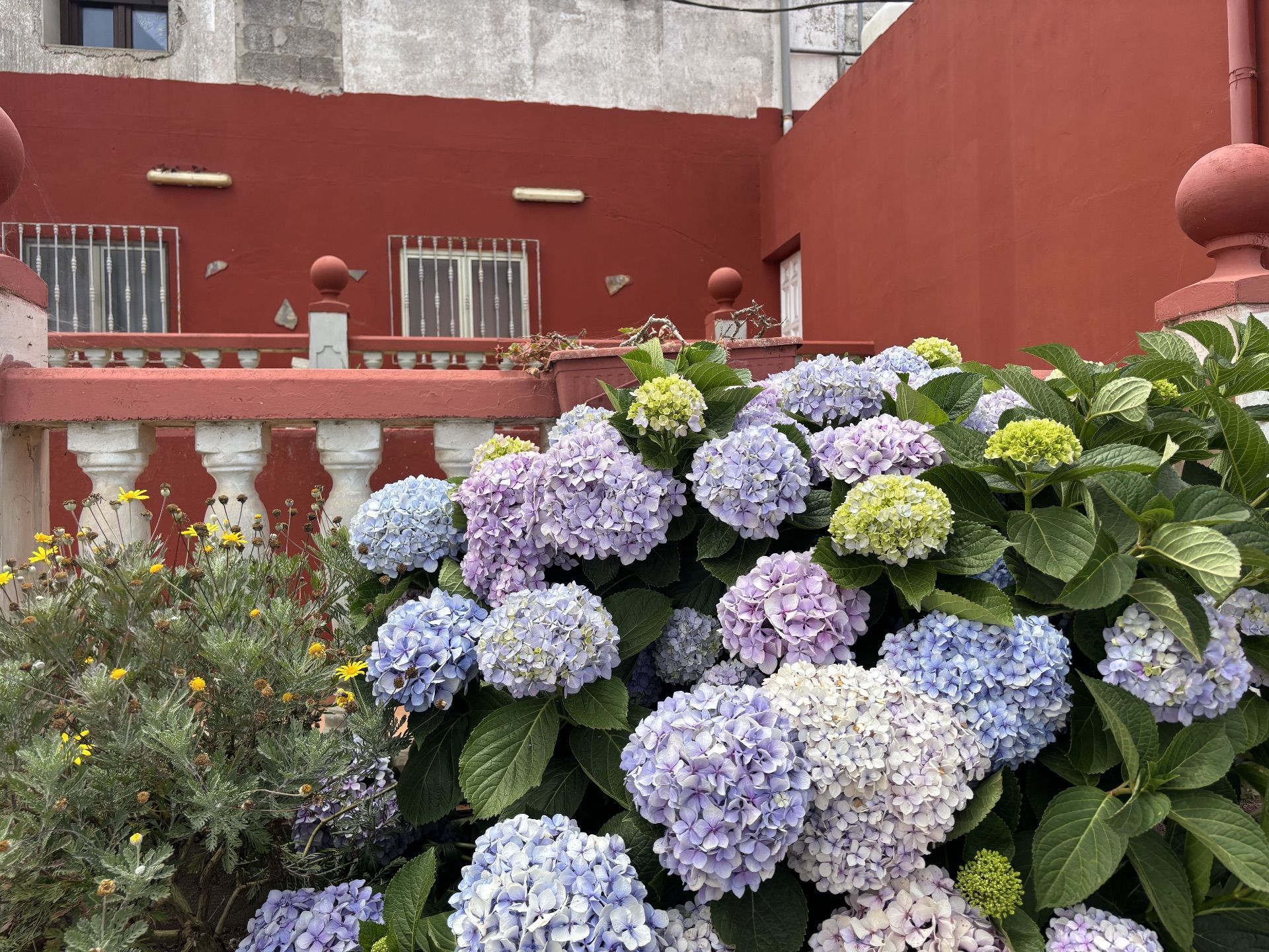 Haus oder Chalet zum verkauf in CALABOZO Y PASO, Santa María de Guía de Gran Canaria