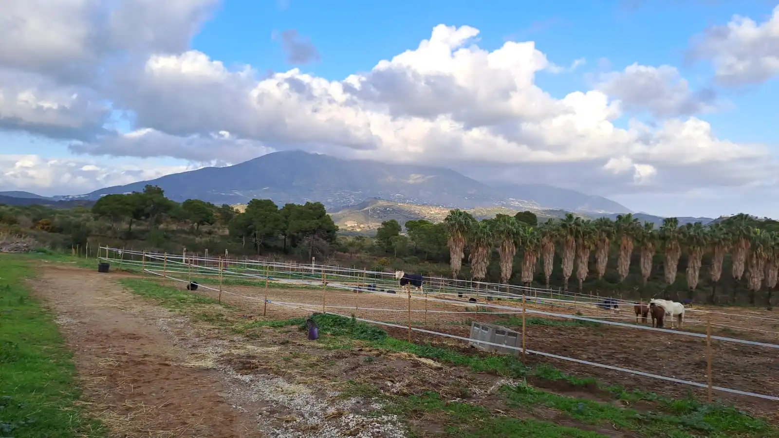 Finca rústica en venda en Mijas