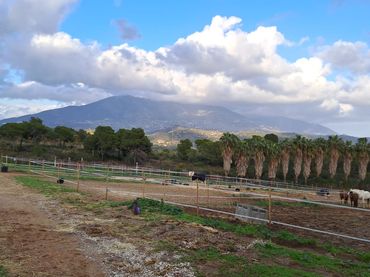 Country house for sale in Campo de Mijas