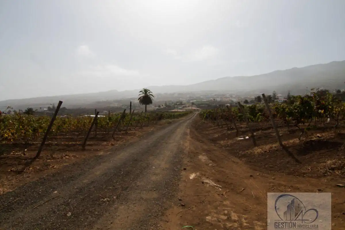 Vista exterior de Finca rústica en venda en Santa Úrsula amb Terrassa i Balcó