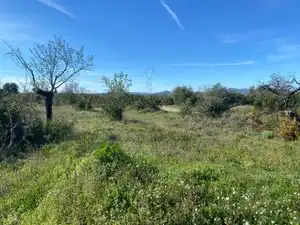 Terreno en venta en El Pont d'Armentera