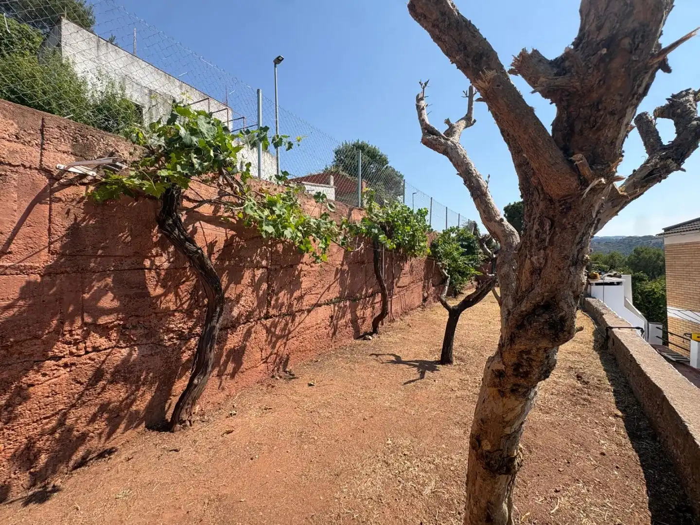 Casa amb jardí en venda a Carrer Rasos de Peguera 59, imagen 25