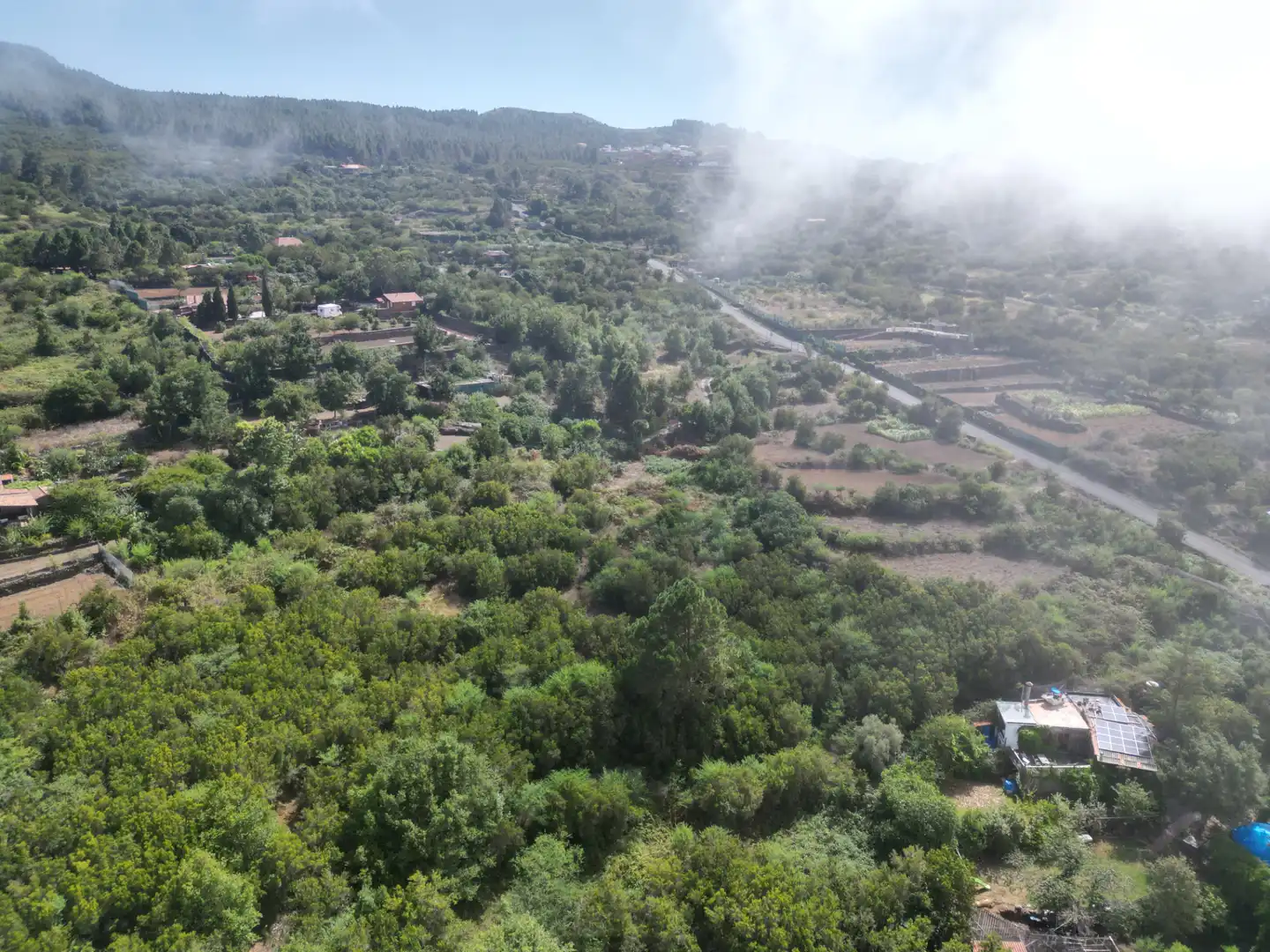 Terreny rústic en venda a El Tanque