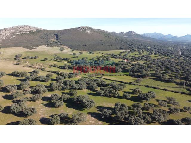 Casa-chalet en Venta en N/A en Deleitosa