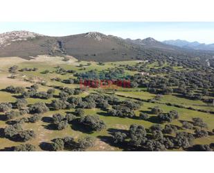 Finca rústica en venda en Deleitosa