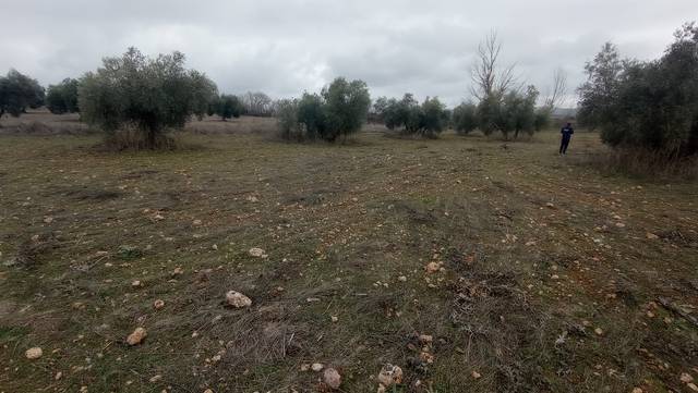Terreno en Venta en Miguelturra