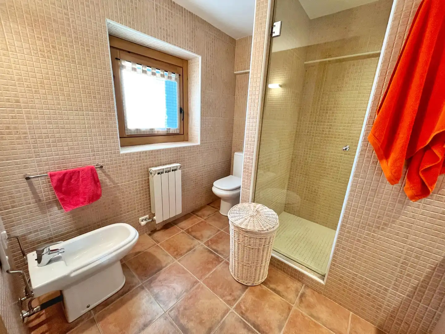 Baño de Casa o chalet en venta en Alp poble