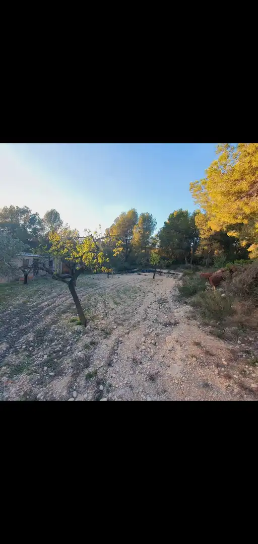 Casa en venta en Móra d'Ebre, imagen 5