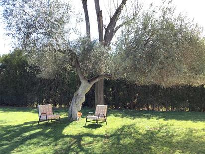 Jardí de Casa o xalet en venda en Sanlúcar la Mayor amb Aire condicionat, Terrassa i Piscina