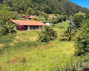 Terreny en venda en Peñamellera Baja