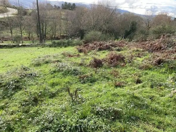 Casa o chalet en venta en Covelo con Jardín privado