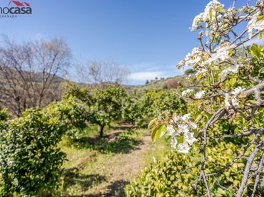 Terreno rustico in vendita a Lúcar