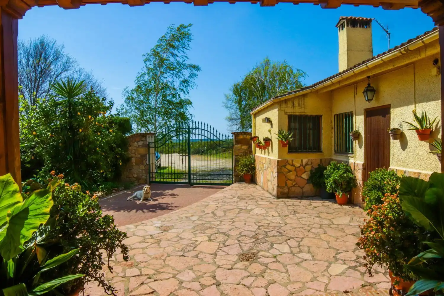 Vista exterior de Finca rústica en venda en Jarandilla de la Vera amb Aire condicionat, Calefacció i Jardí privat