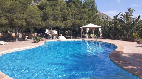 CHALET EN PETRER CON CASA PRINCIPAL Y DE INVITADOS CON PISCINA Y CABALLERIZAS  AMUEBLADO, imagen 2