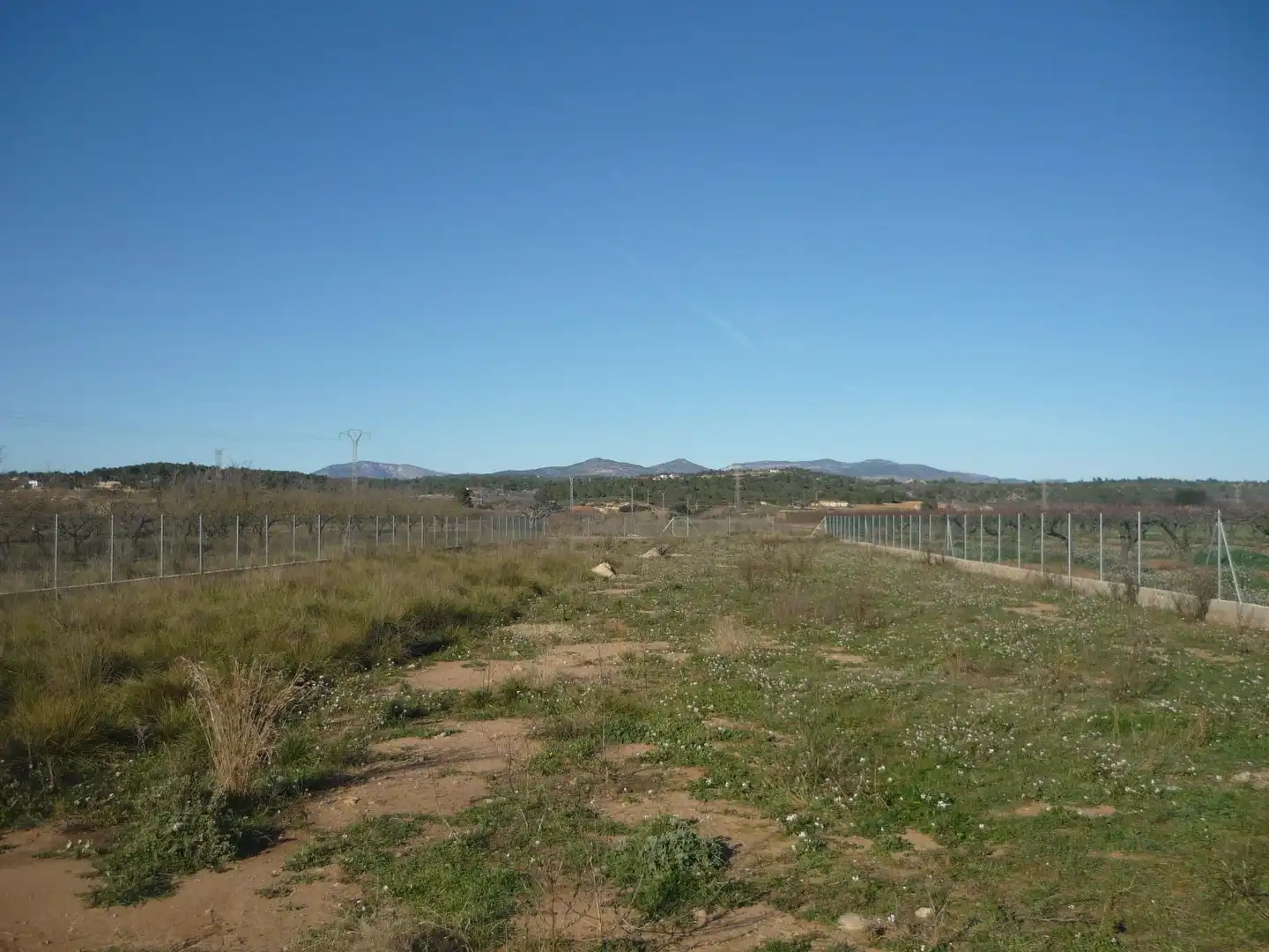 Terreny rústic en venda a Vilafamés, imagen 6