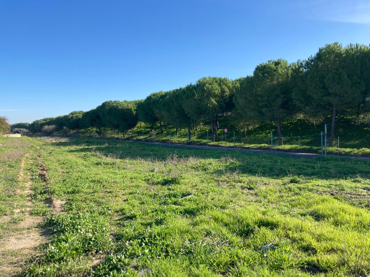 Industrial land for sale in El Puerto de Santa María