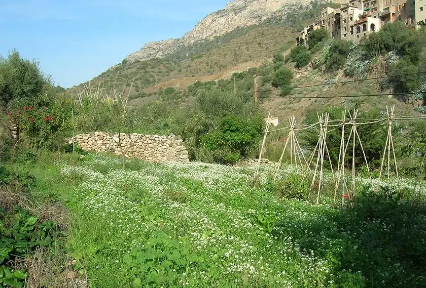Finca rústica en venta en La Vilella Baixa