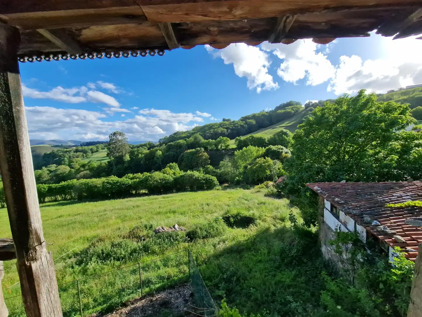 Jardín de Finca rústica en venta en Tineo con Balcón y Piscina comunitaria