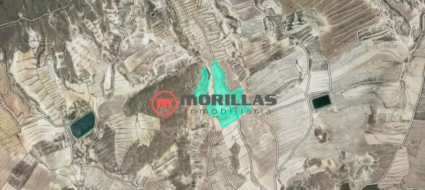 Terrain rustique à vendre à Calle de Polígono F 209