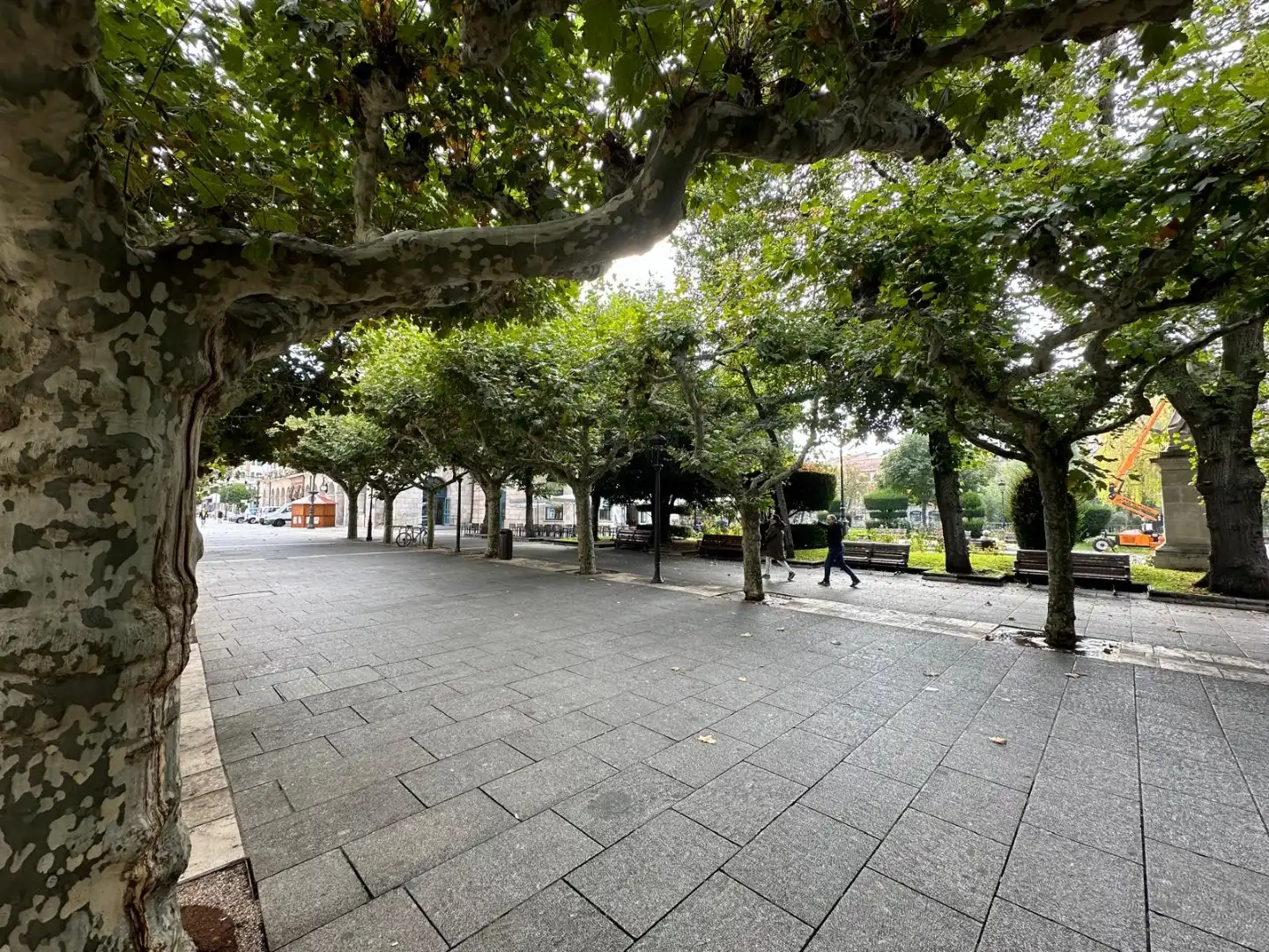 Gewerbefläche zur Miete in Paseo Espolón, imagen 4