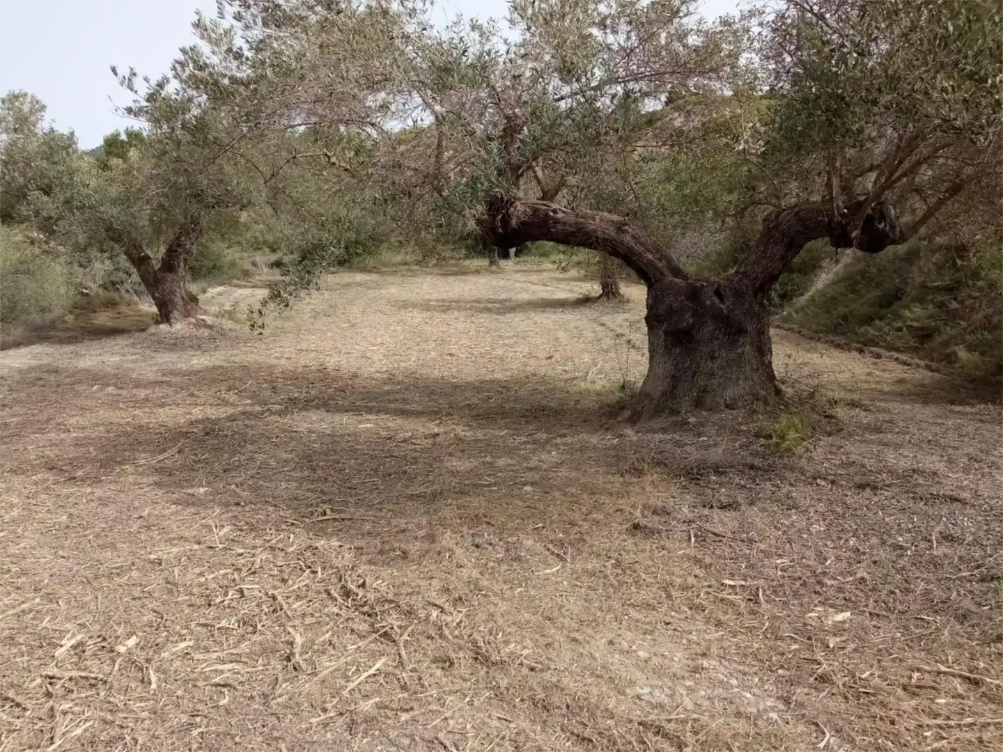Terreno en venta en Busot