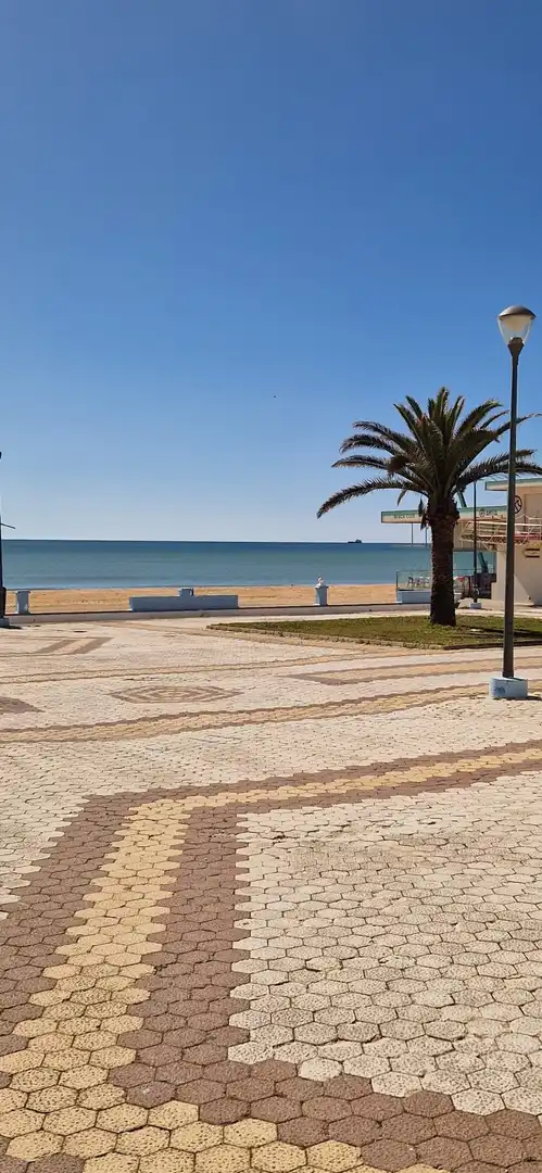 Vista exterior de Piso en venta en Almonte con Calefacción, Terraza y Amueblado
