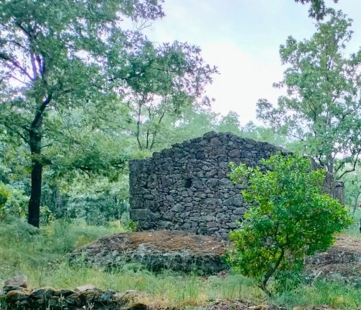 Terreni e lotti in vendita a Villanueva de la Vera, imagen 5