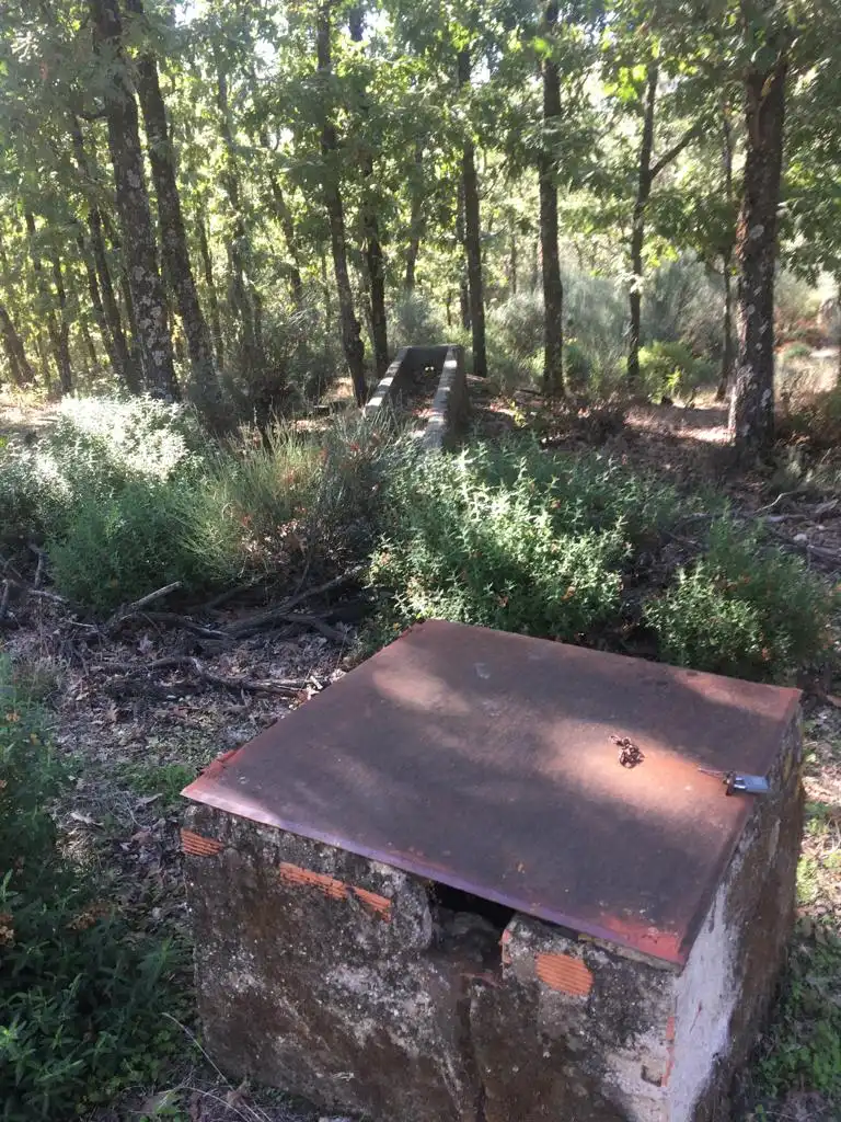 Jardí de Traster en venda en Jarandilla de la Vera