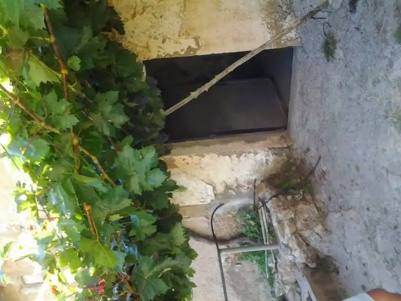 Casa rústica amb jardí en venda a Guadix, imagen 19