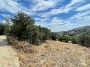 Land for sale in Monda