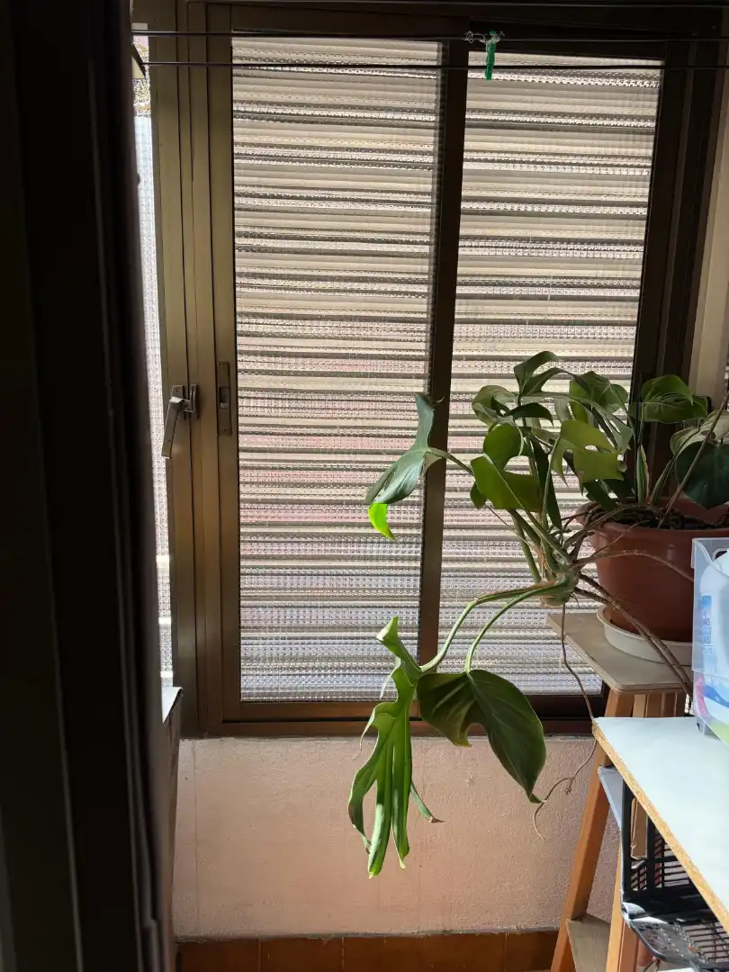 Terraza de Piso en venta en Madrid con Aire acondicionado, Calefacción y Terraza