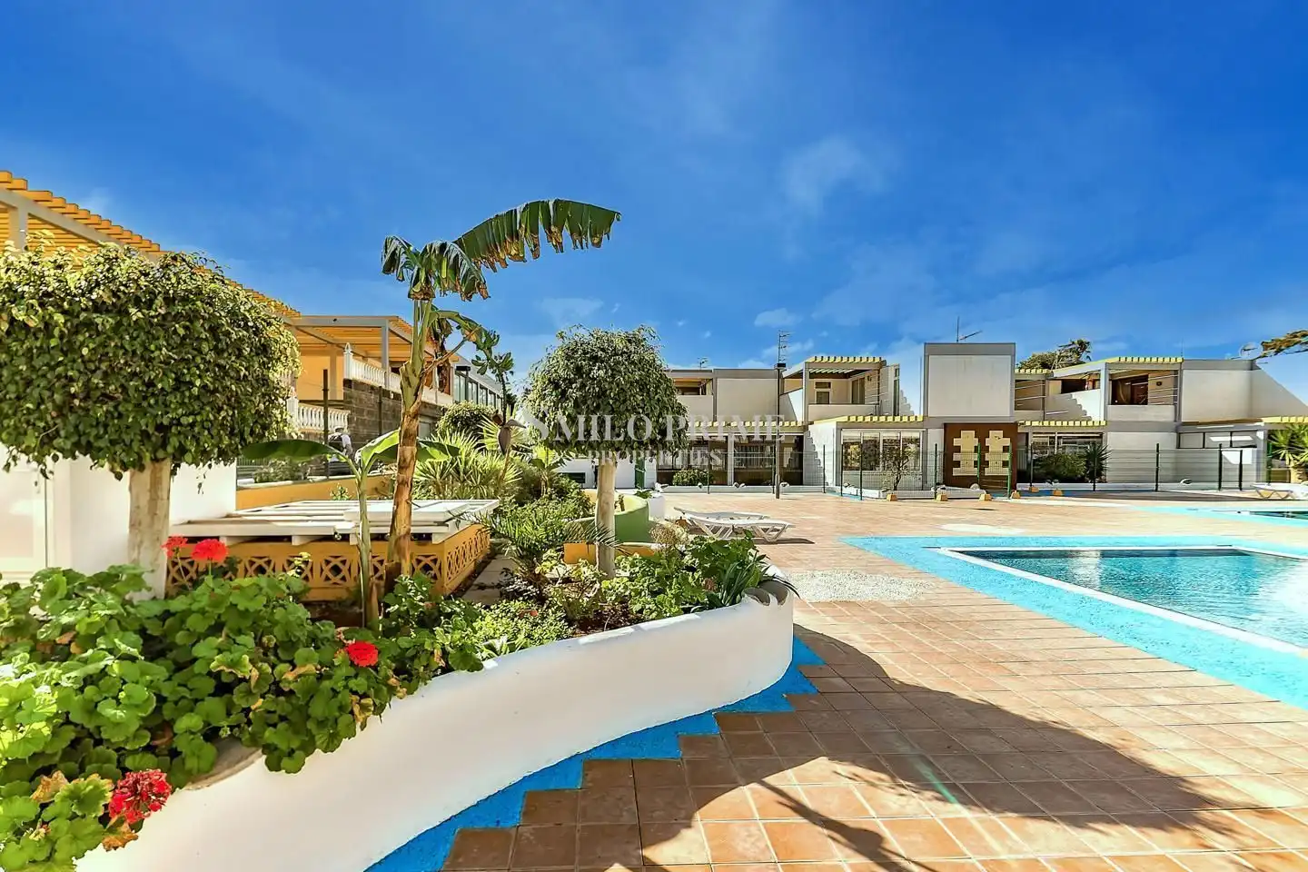 Bajo con piscina en venta en Calle Hercules, imagen 4