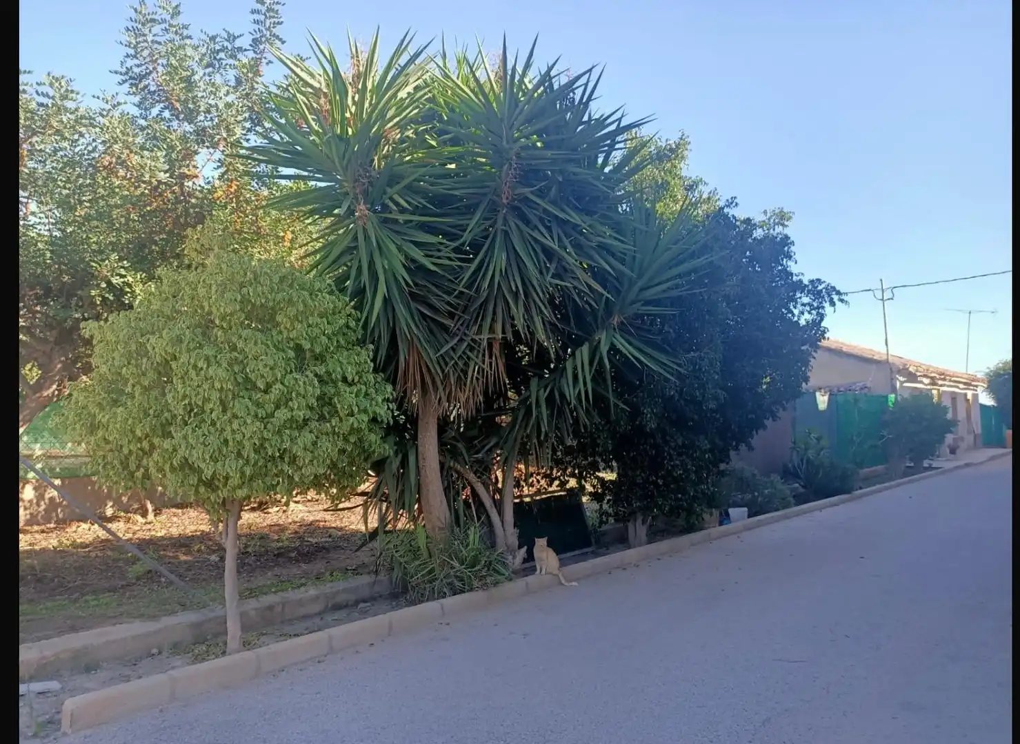 Finca rústica en venta en Pasaje la Ermita, Albujón