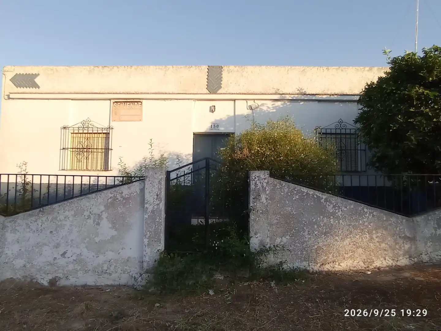 Terreno rústico en venta en El Rocío - La Milagrosa, imagen 13