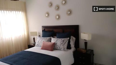 Photo 3 of Apartment to share in Santa Catalina - Canteras, Las Palmas