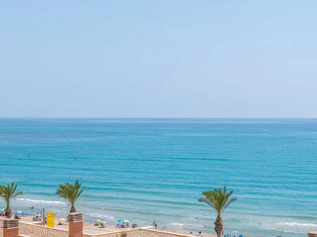 Exterior view of Apartments for sale in El Campello  with Terrace and Swimming Pool