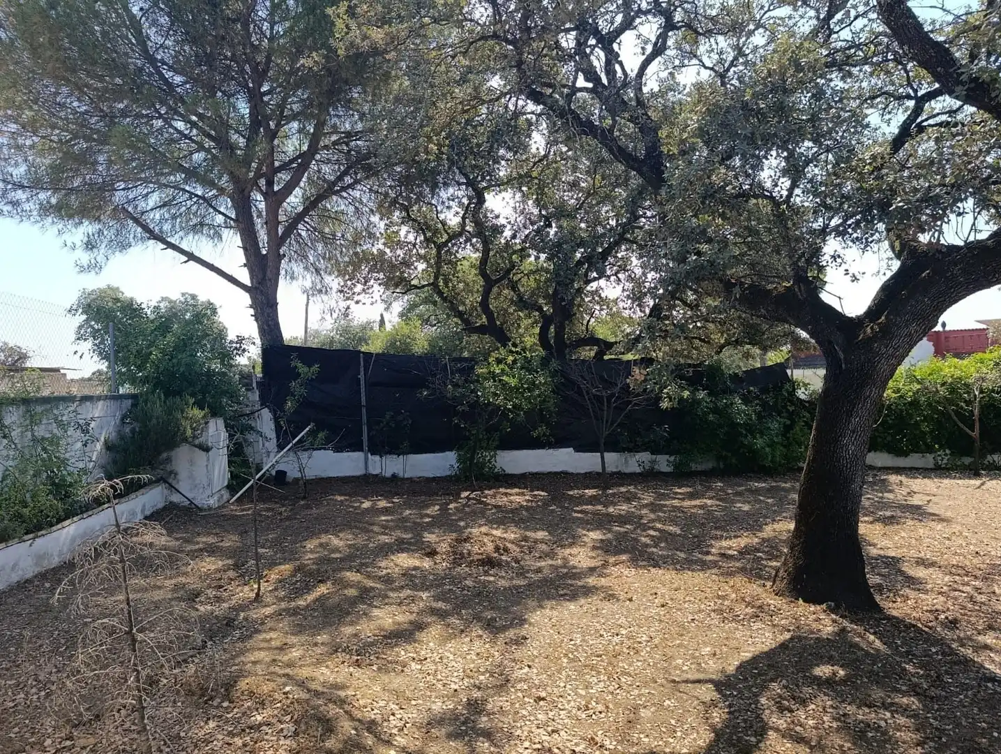 Casa o chalet en venta en Castilblanco de los Arroyos