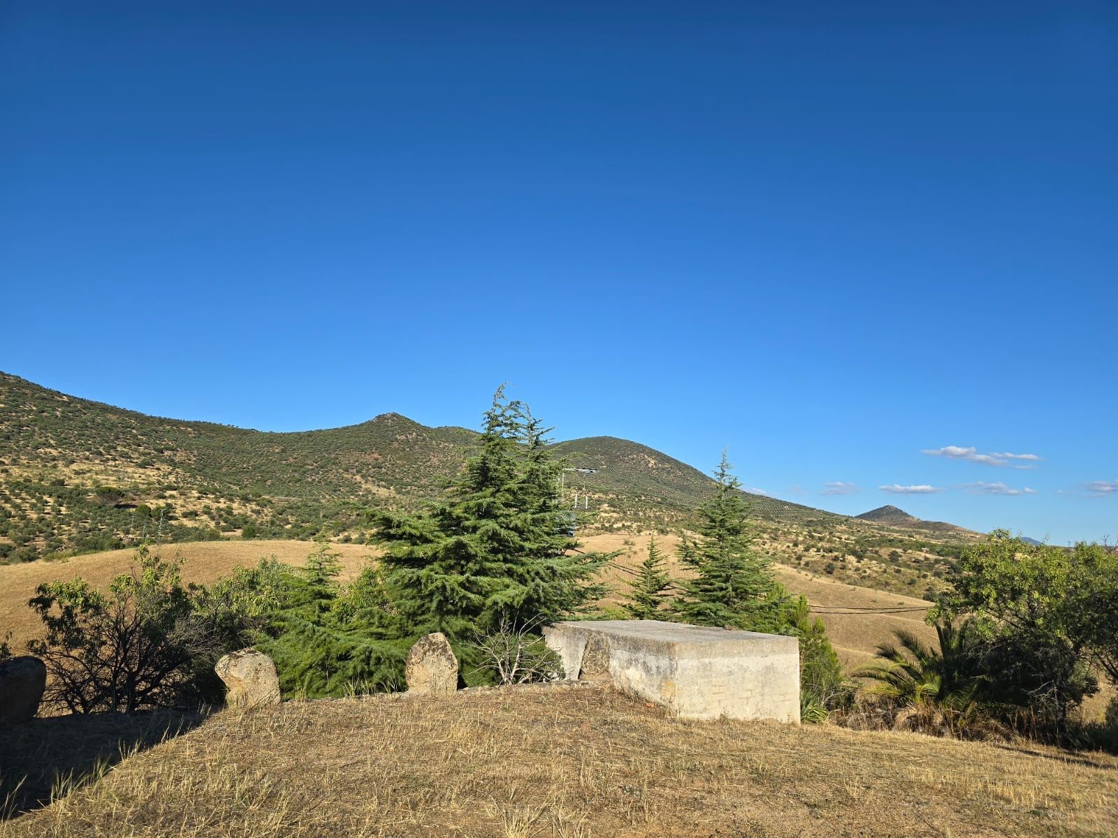 Terreno en venta en Oropesa