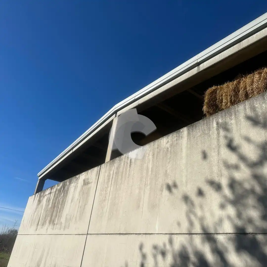 Exterior view of Industrial buildings for sale in Cortegada